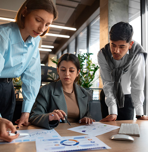 GERENCIAMENTO DE PROJETOS